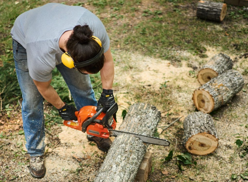 Correct Chainsaw Chain Direction and Other Safety Tips for Beginners