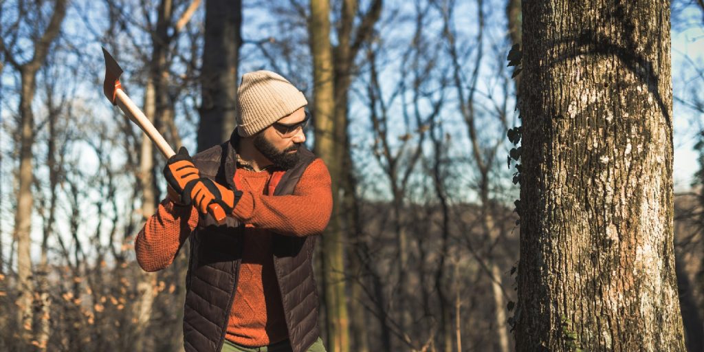 Felling Axe vs. Forest Axe: What’s the Difference?