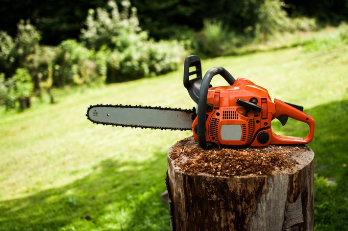 Best Gas Chainsaws for Trimming Large Branches in 2024