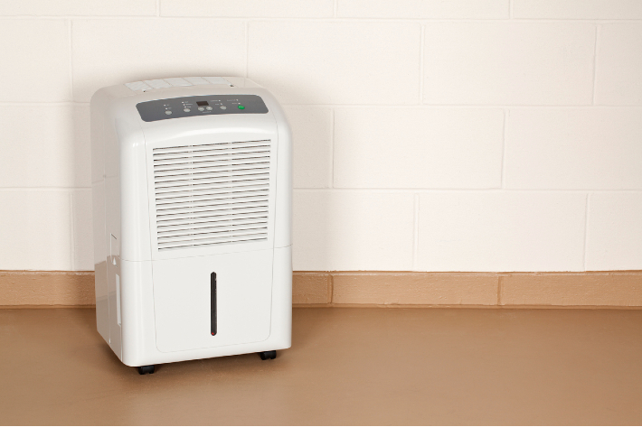 The Best Dehumidifiers of 2024