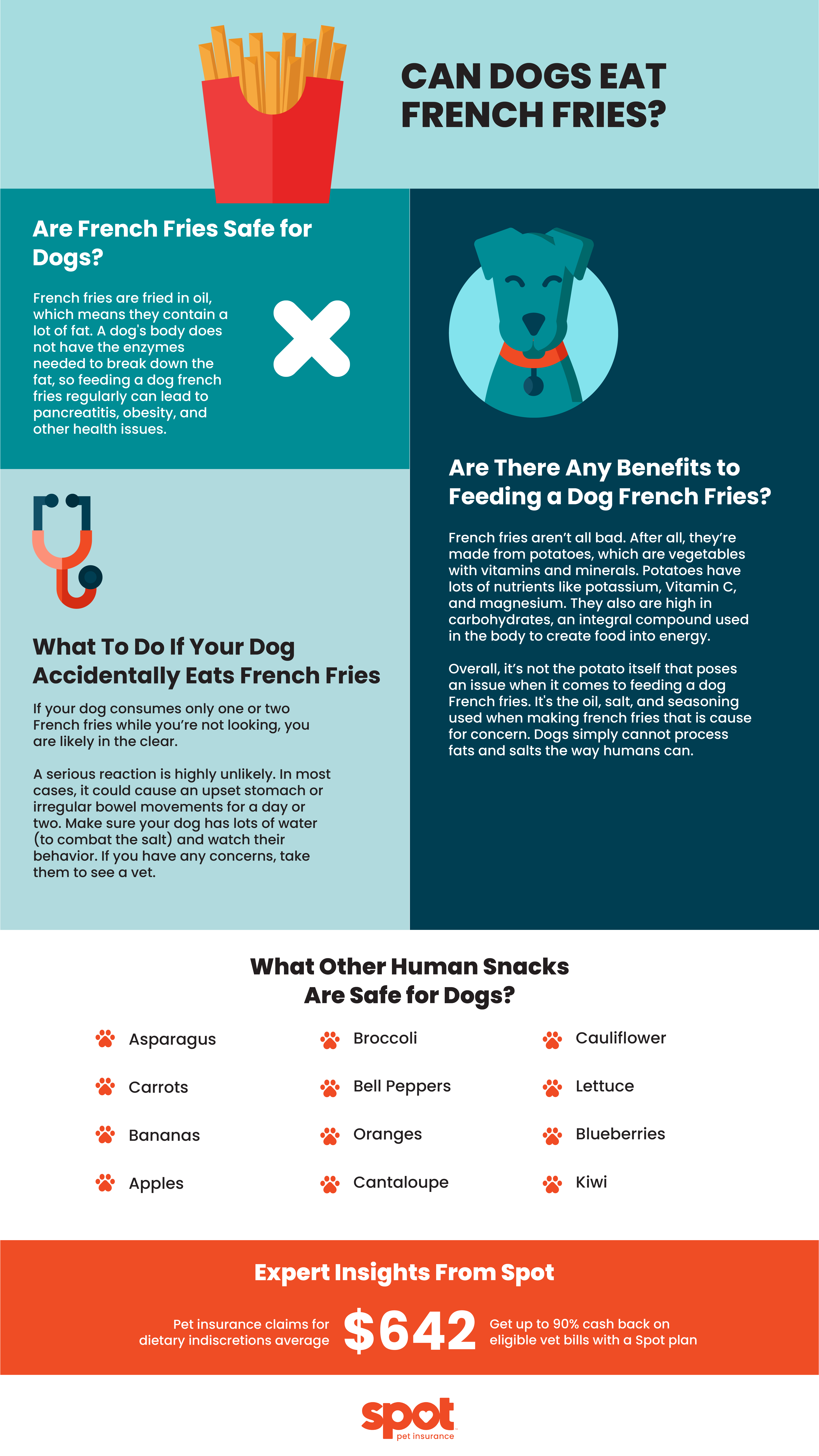 Can Dogs Eat French Fries? The Risks