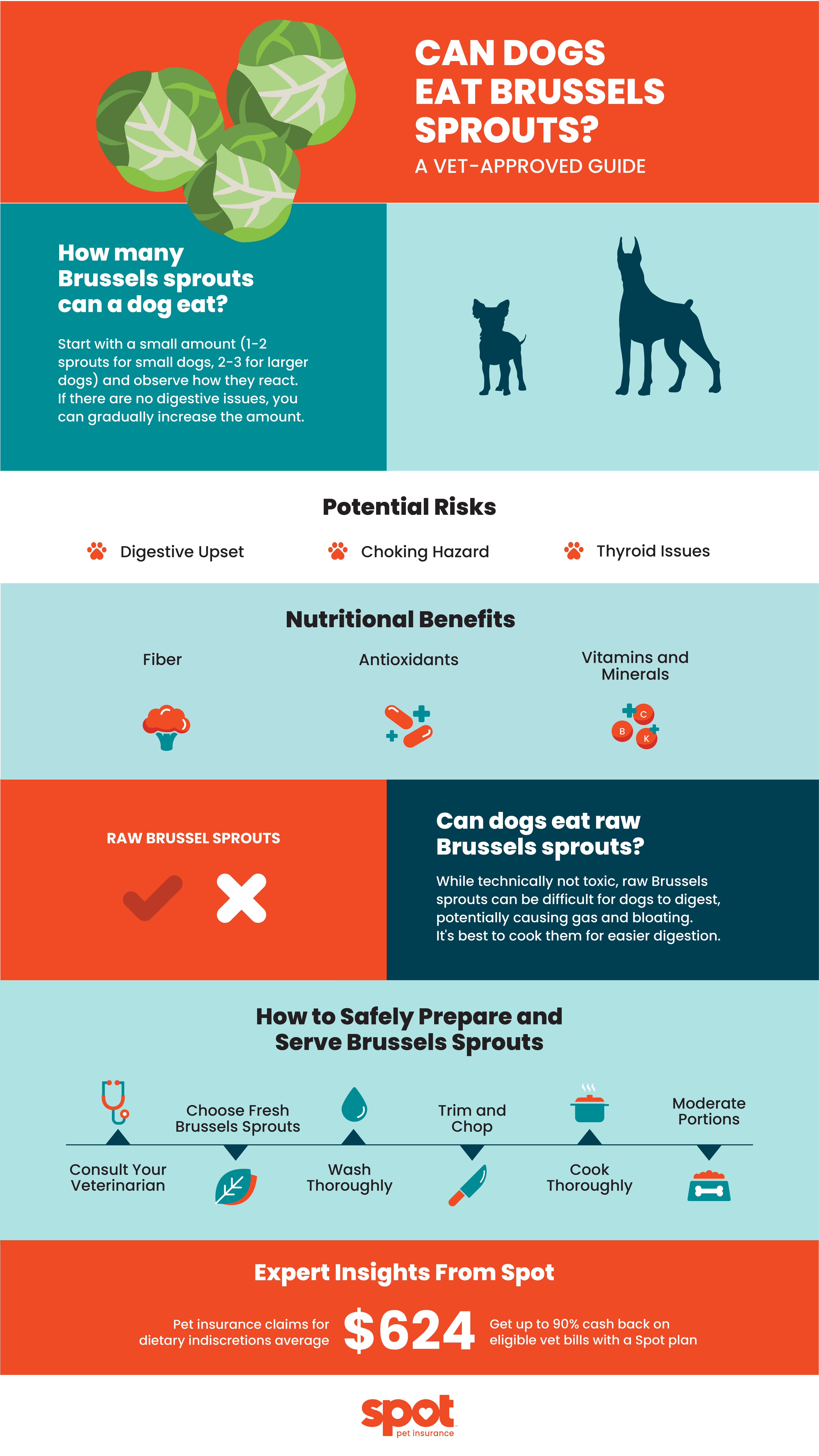 Can Dogs Eat Brussels Sprouts? Benefits and Risks | Spot®