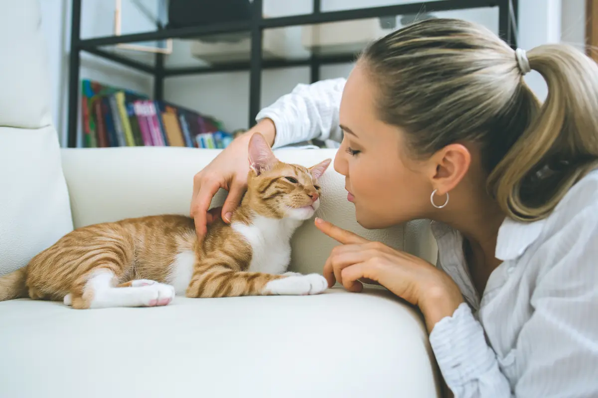 Can Cats Eat Spinach? What Does Expert Says? Spot Canada