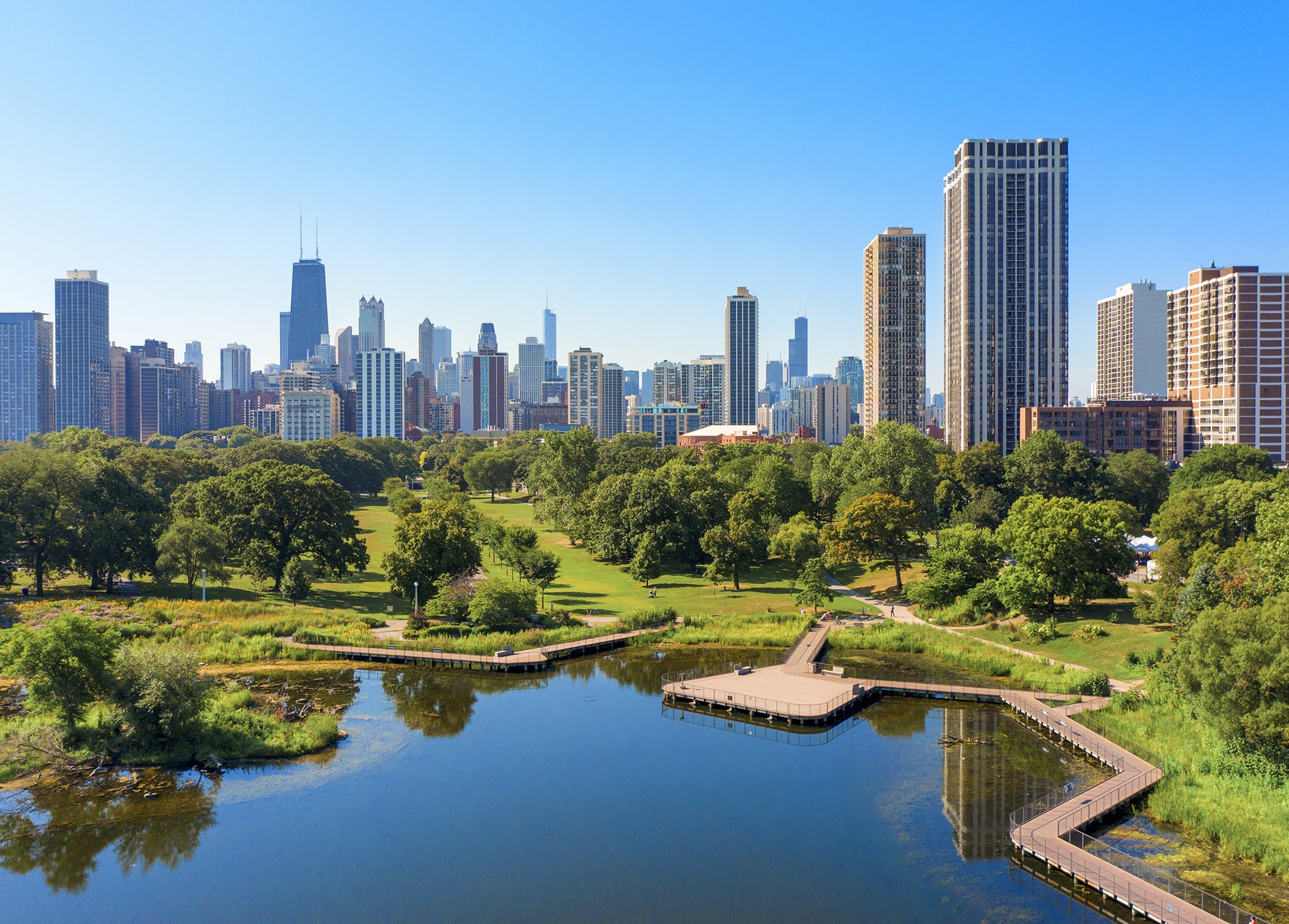 How Much Does an Average Vet Visit Cost in Chicago? Spot®