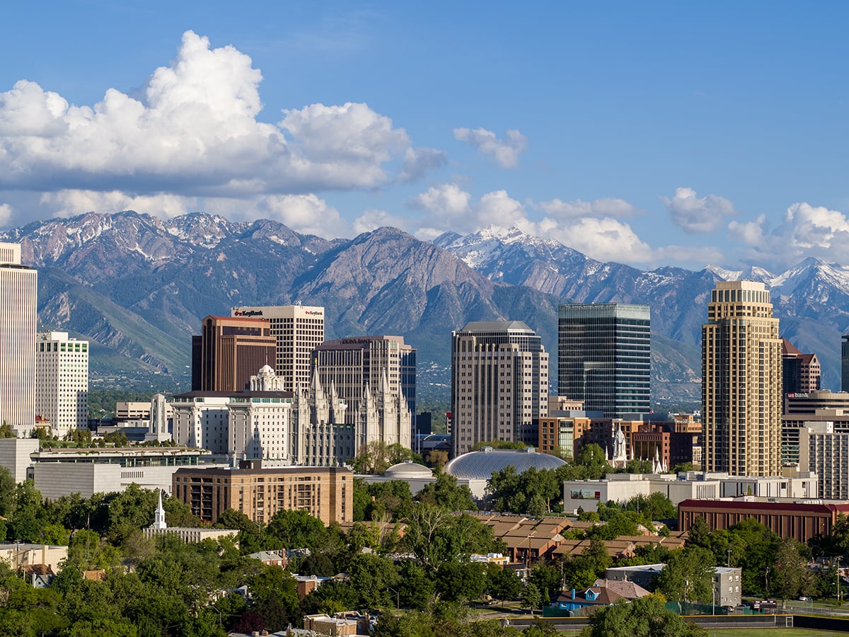 How Much Does an Average Vet Visit Cost in Denver? Spot®