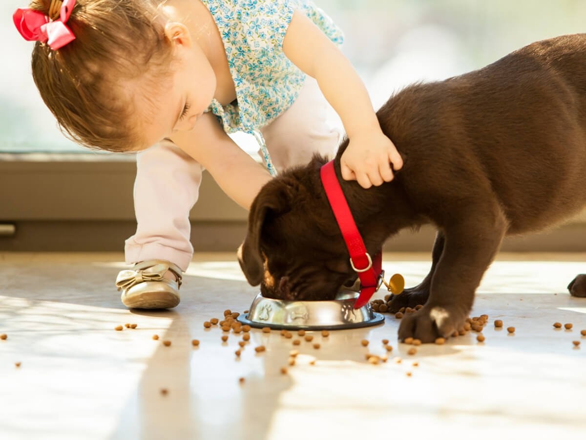 Best Dog Breeds for Young Children | Spot®