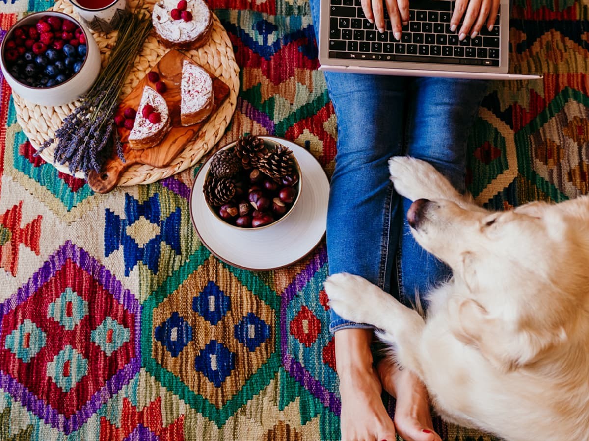 are blackberries safe for dogs to eat