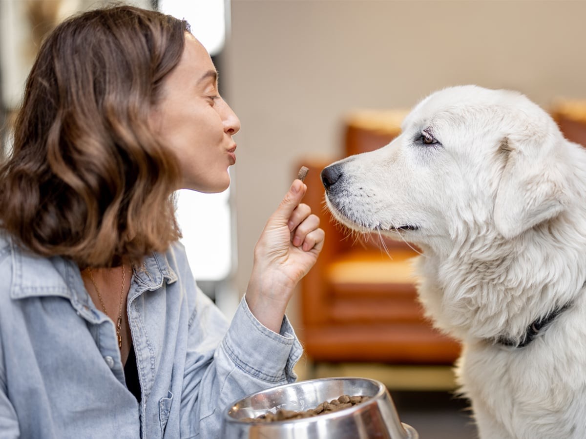 are lima beans safe for dogs to eat