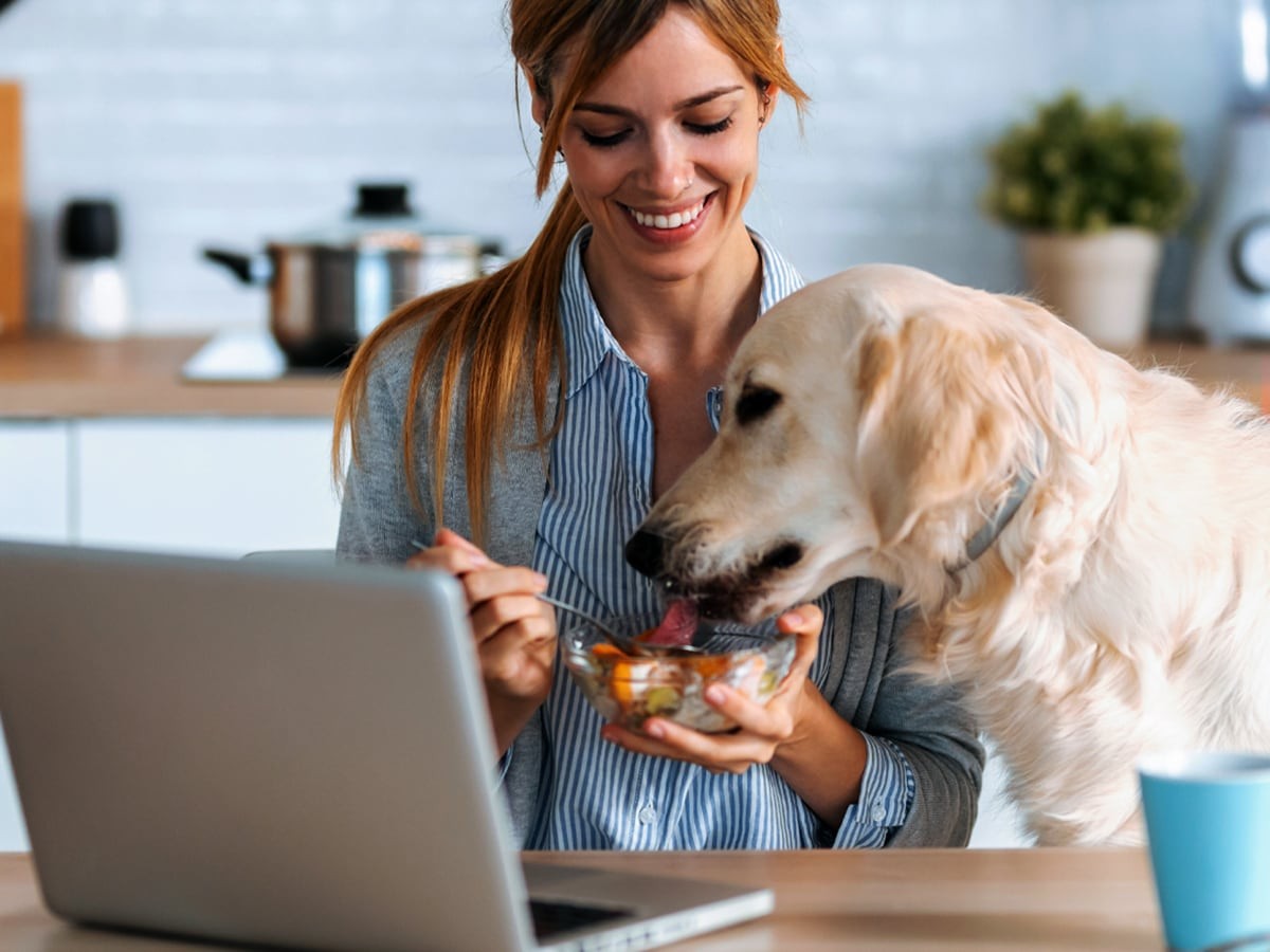 Dogs eat outlet yogurt