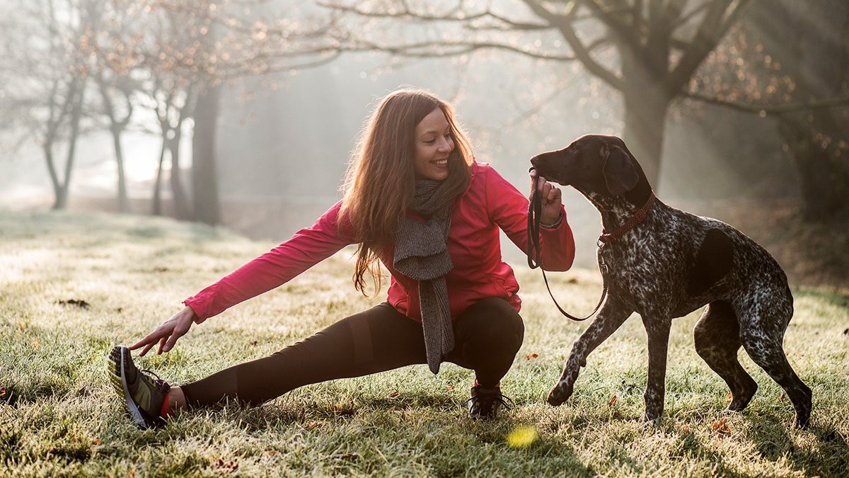 Pointer dog hot sale exercise