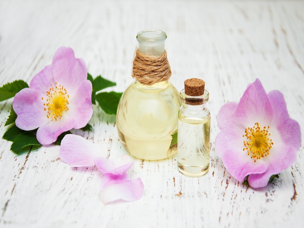 Are Flower Scented Oils Bad For Dogs