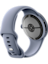 Google Pixel Watch 4, Moonstone