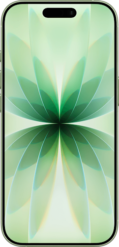 Apple iPhone 17 5G, Sage