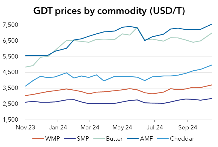 GDT 367 Website Report Line Graph