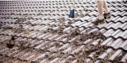 Things you should know about Roof Cleaning