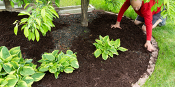 How to Improve Your Lawn by Mulching 