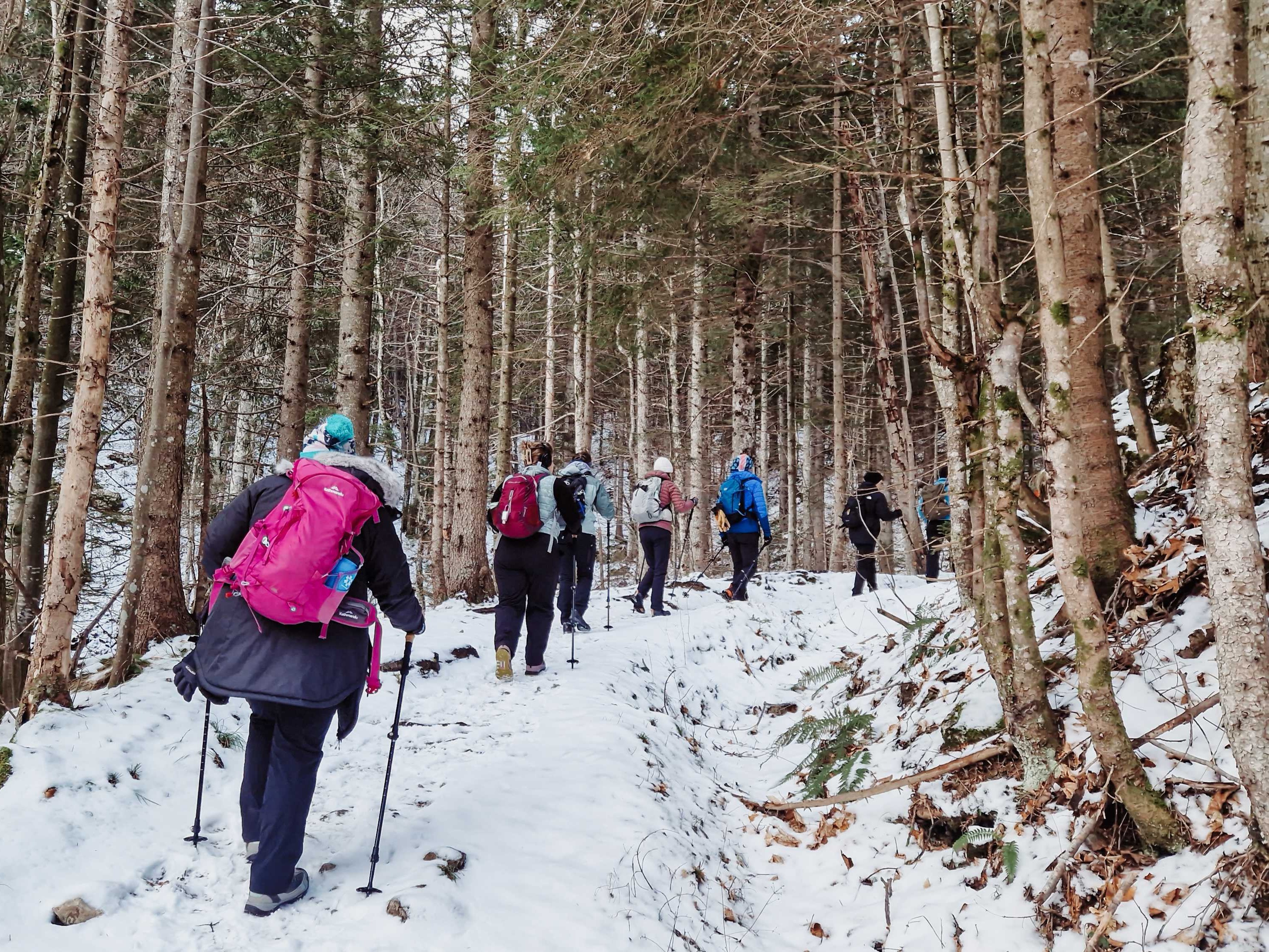 Winter hike, Slovenia. Photo: Host/Bananaway