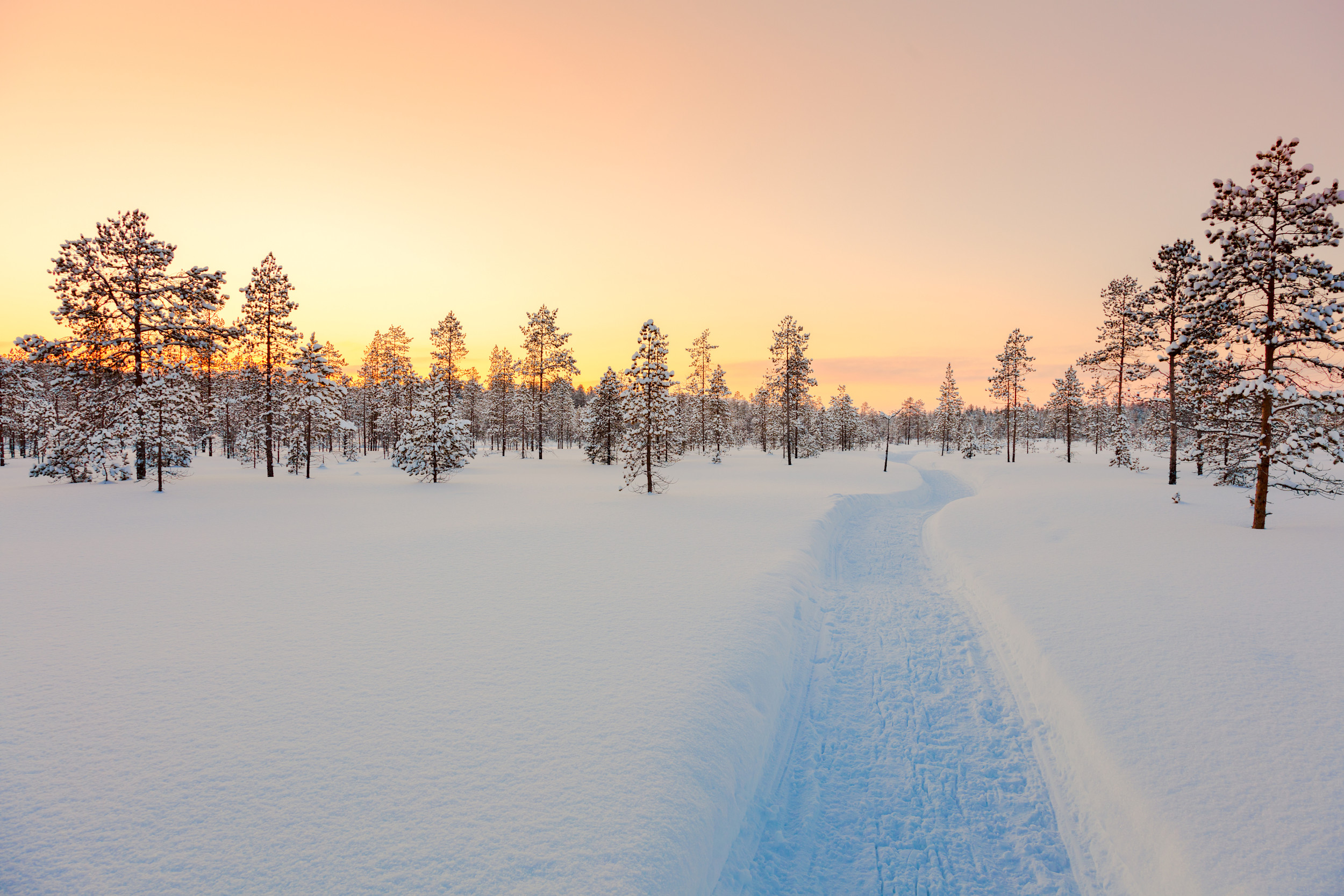 Lapland scene. Photo: iStock-628966416