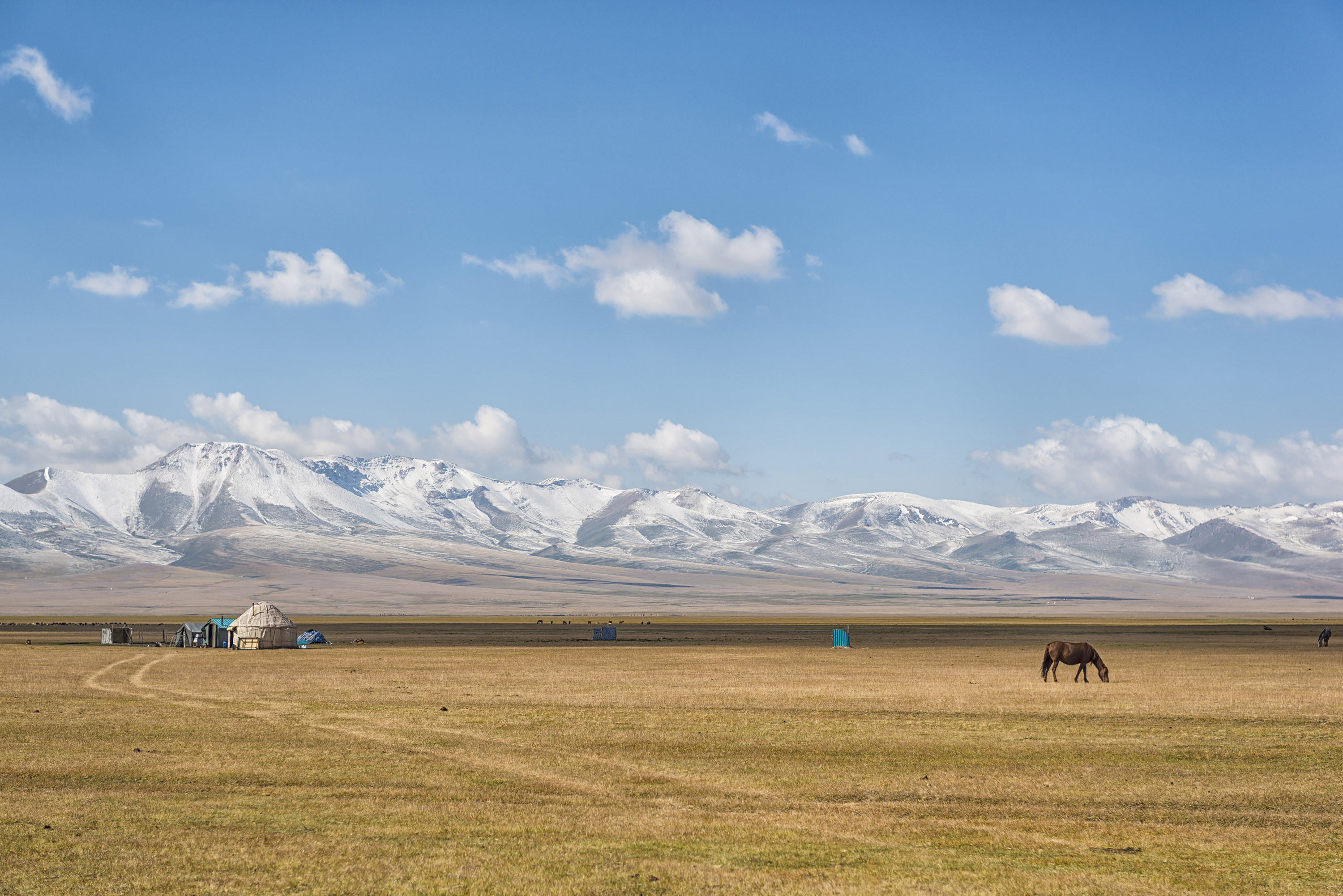 Trek The Tian Shan Mountains Of Kyrgyzstan Much Better Adventures   Image 2 