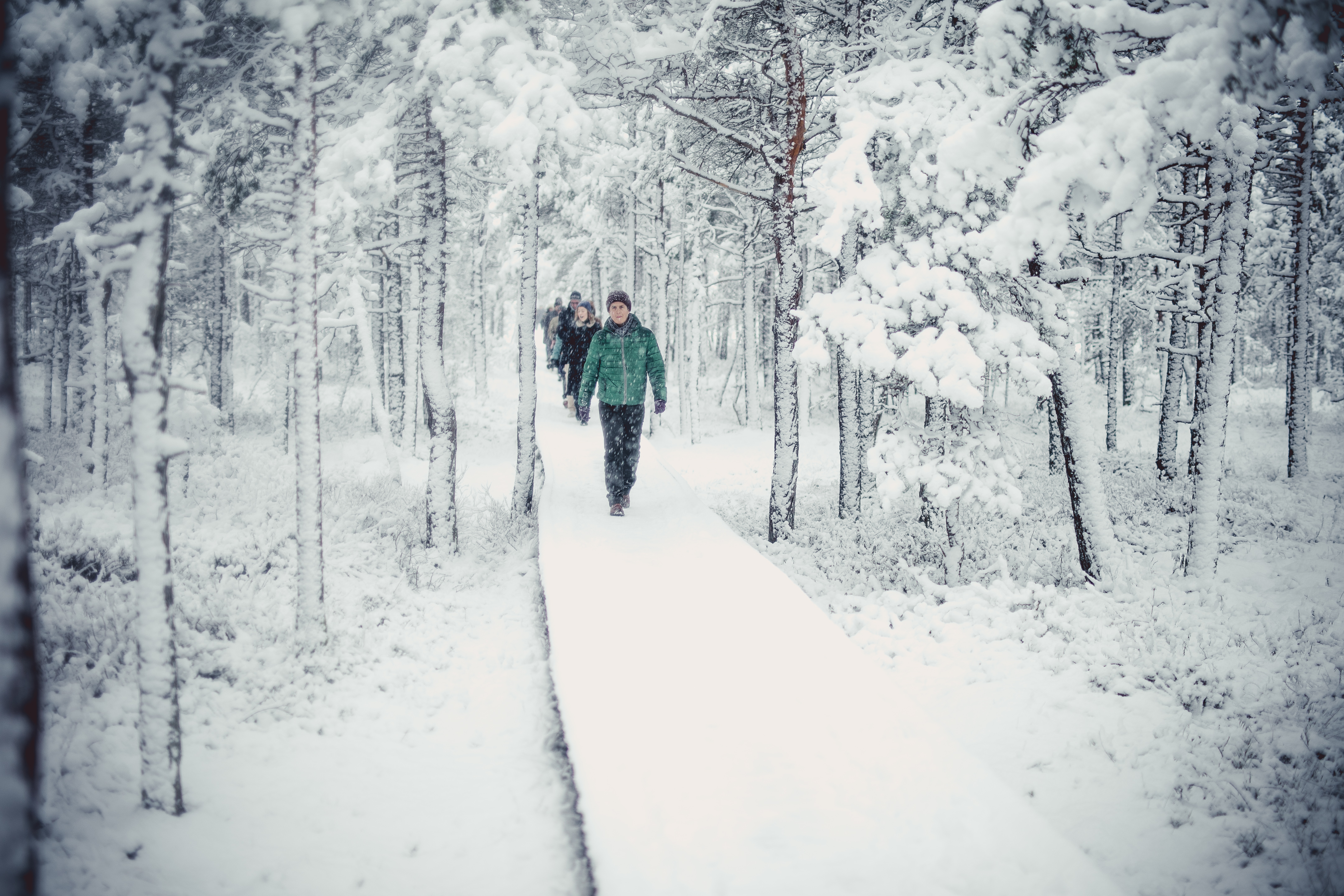 Bog winter hike, Estonia