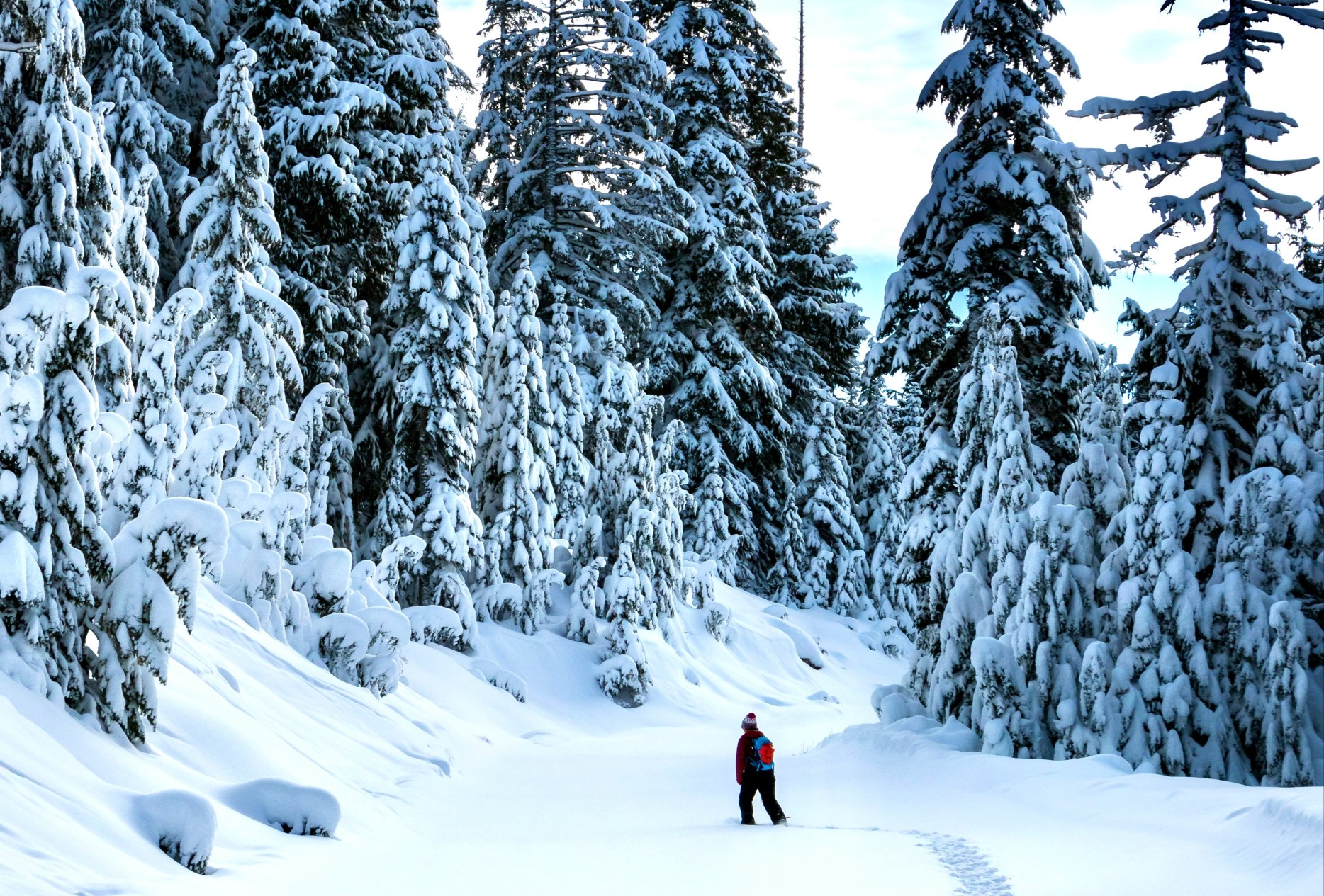 Snowshoeing in the Dolomites, Italy. Photo: Host/Wild in the Dolomiti