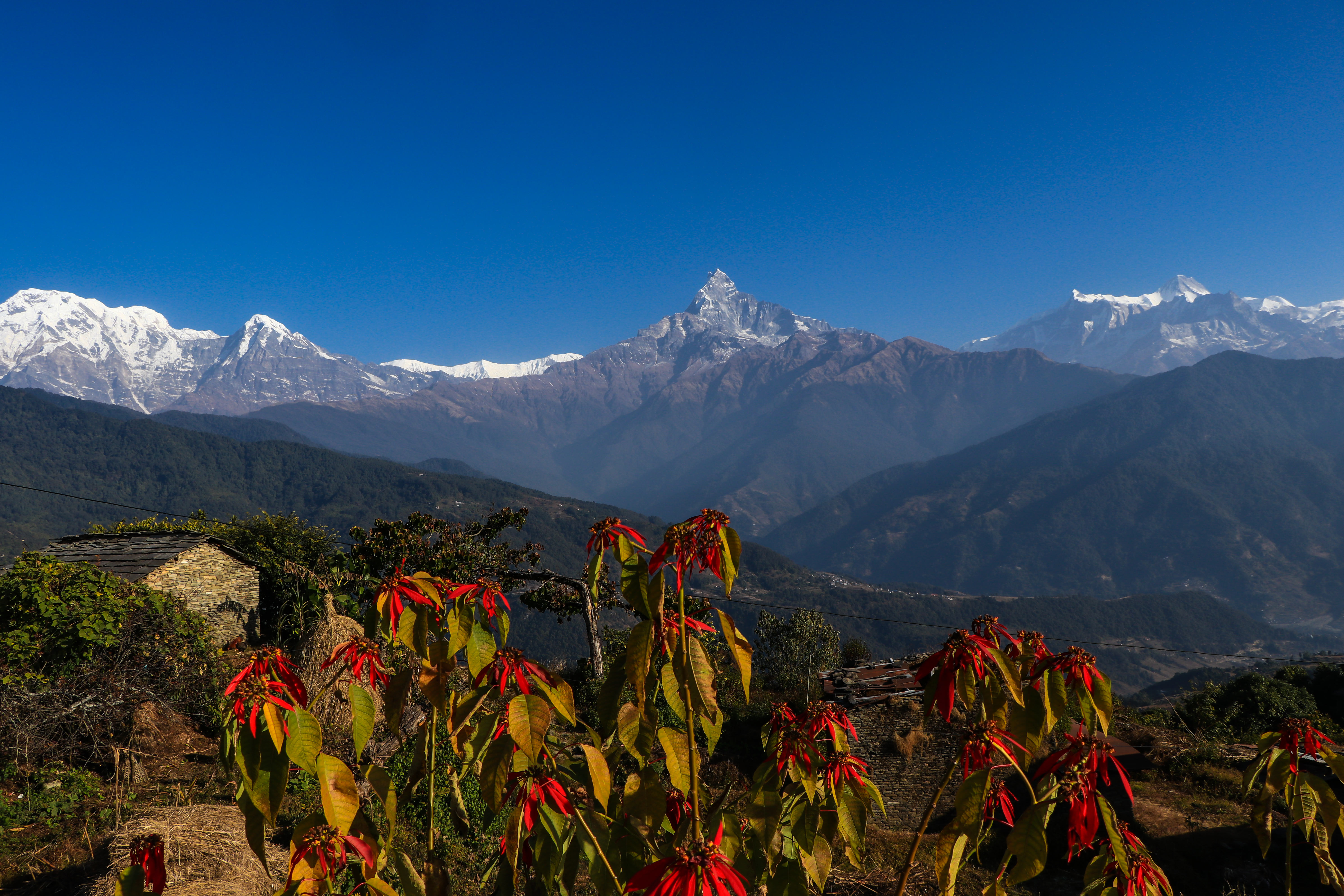 Epic Adventures in Nepal: Your Ultimate 2025 Destination - Planning Your Epic Adventure in Nepal