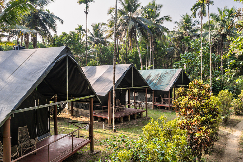 Amritara Riverside Luxury Tents, Kerala. Photo: booking.com