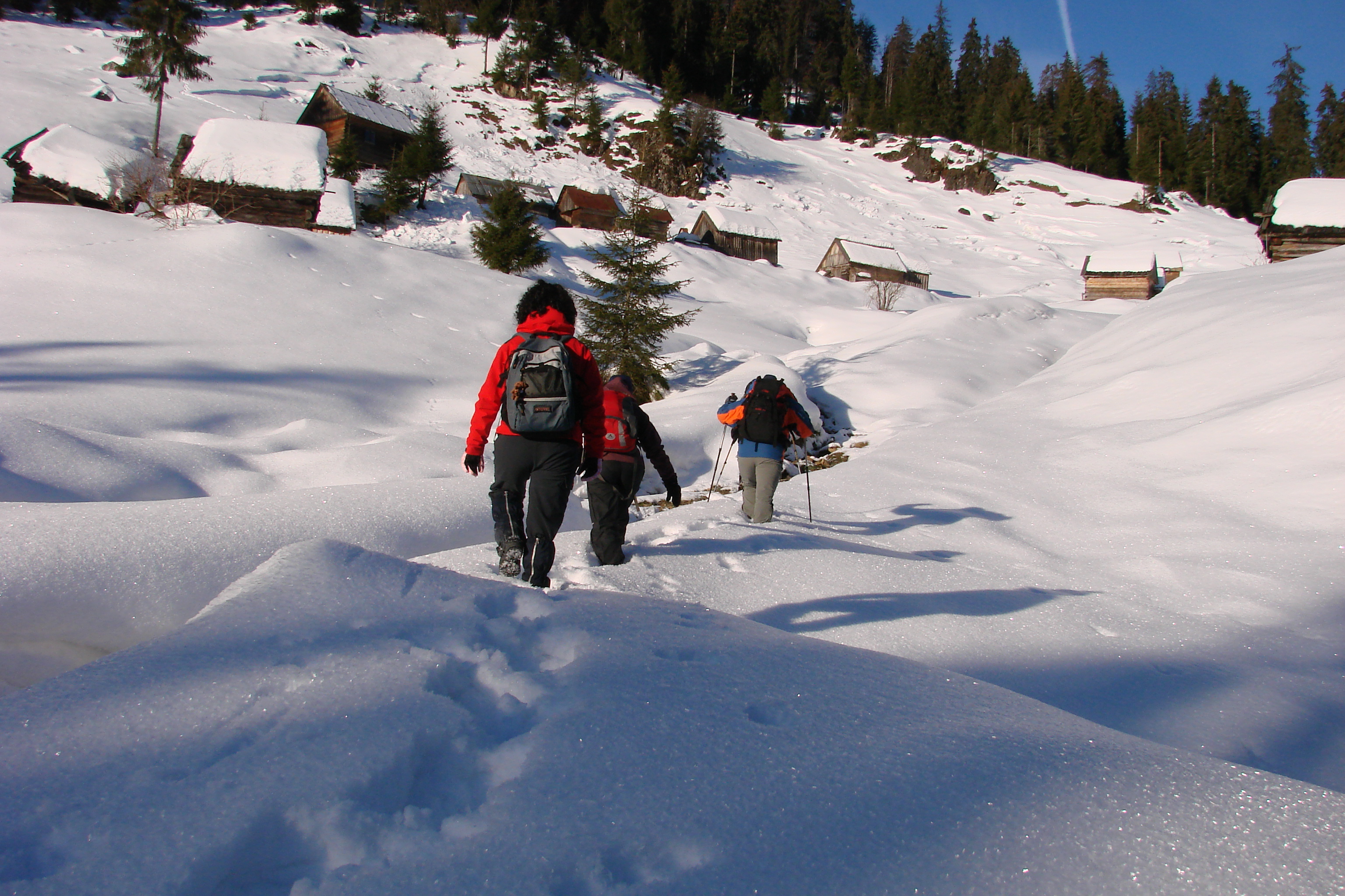 Snowshoe the Carpathian Mountains in Romania
