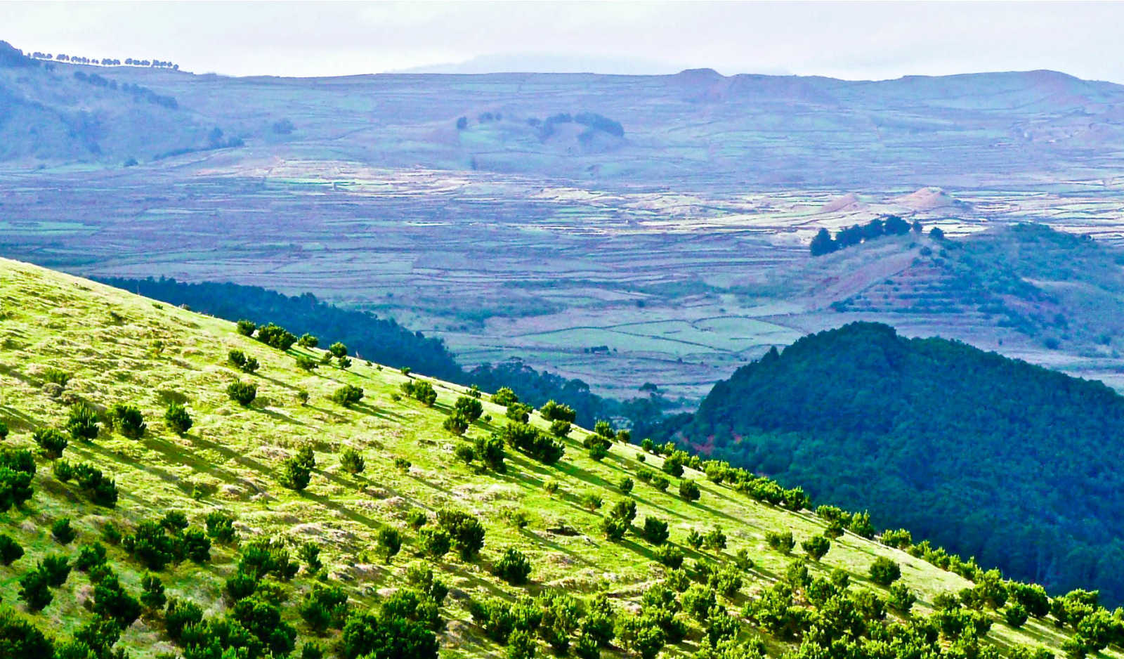 Hike and Explore a Remote Canary Island | Much Better Adventures