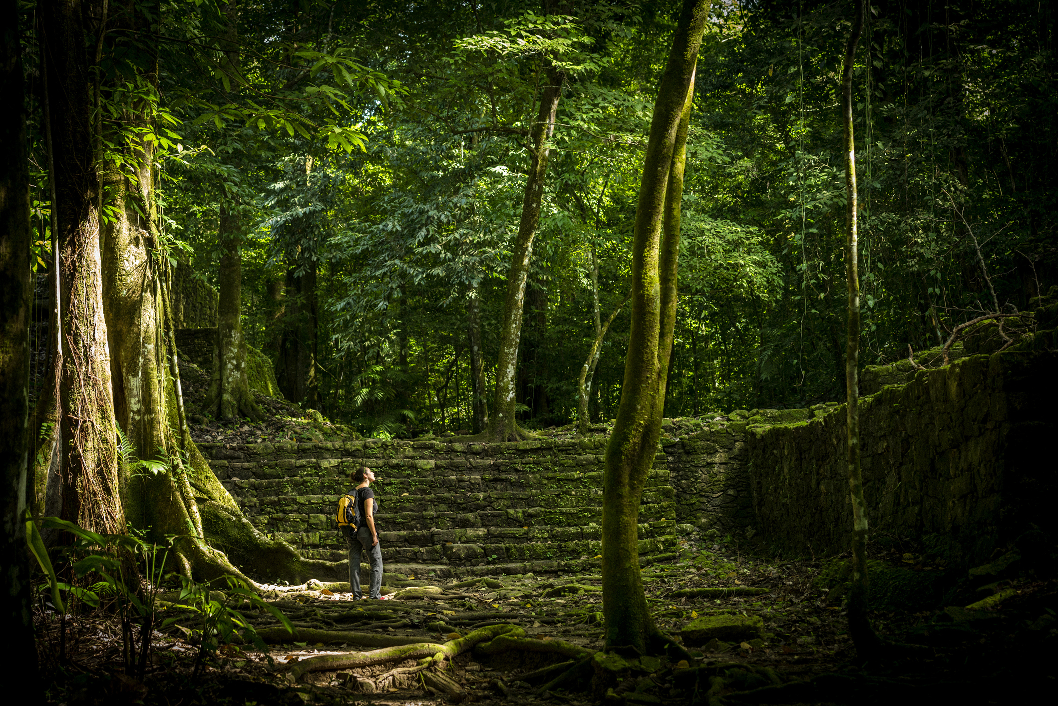 Exploring Mexicos Untamed Jungle: A Thrilling Adventure