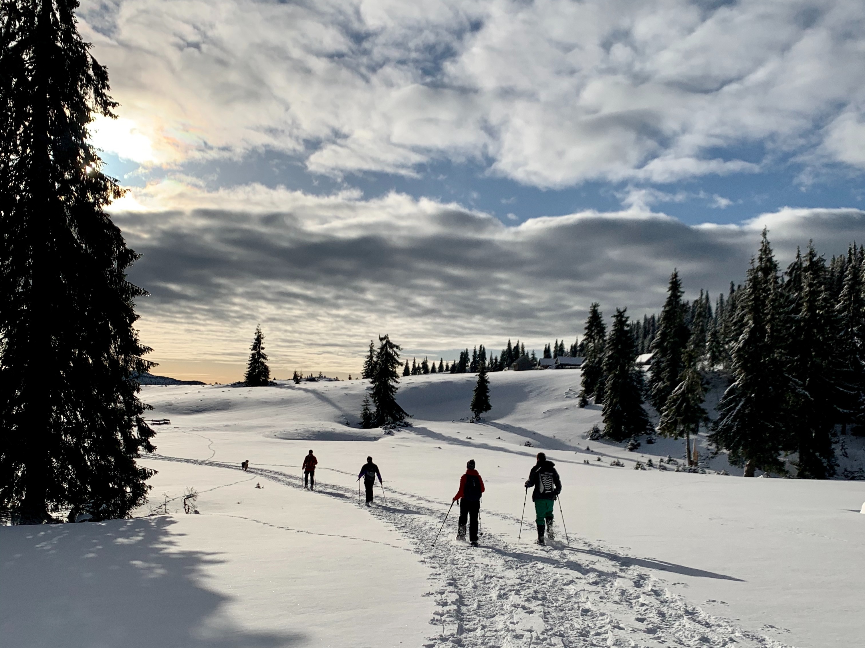 Hiking Carpathian mountains in winter 