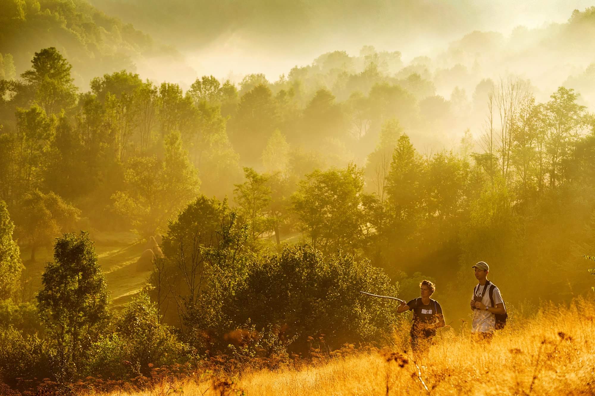 Wildlife tracking, Romania. Photo: Host/WeWilder