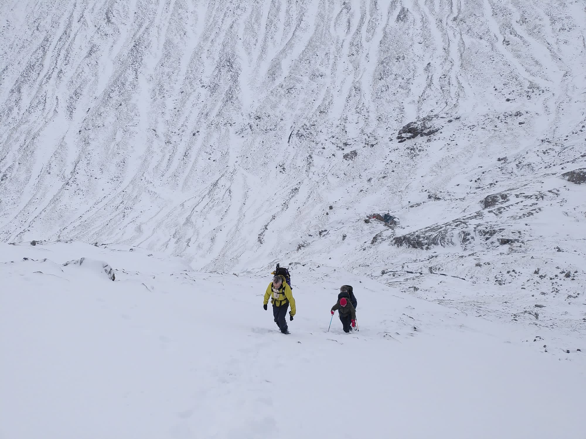 Winter on Ben Nevis, Scotland. Photo: Host/Atlas Mountaineering