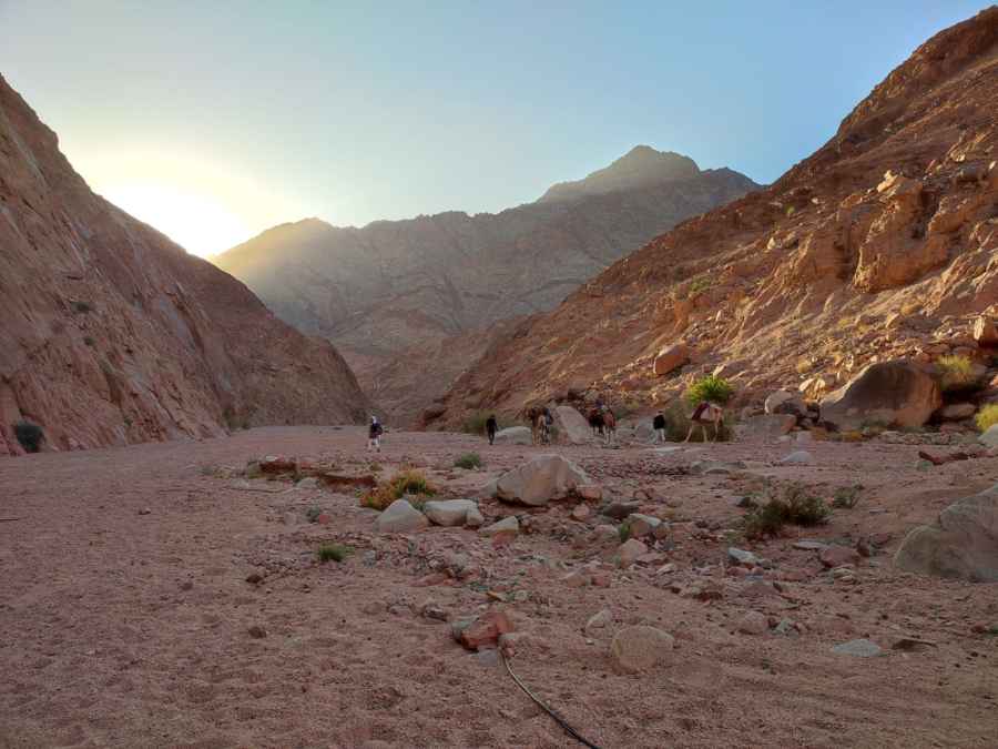 Trek Through Egypt's Sinai Desert