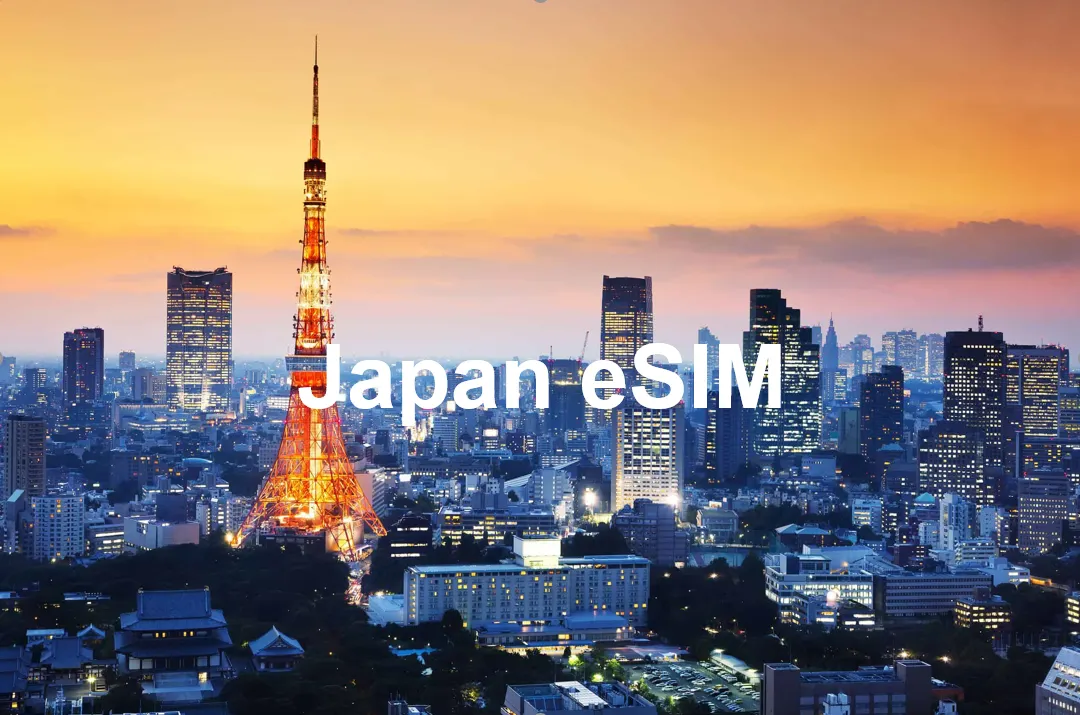 eSim Japan