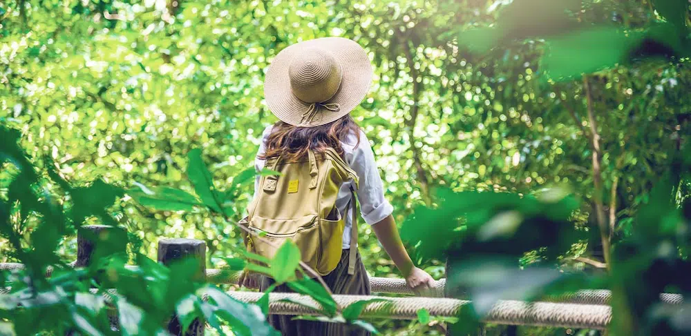 Eco Tourism