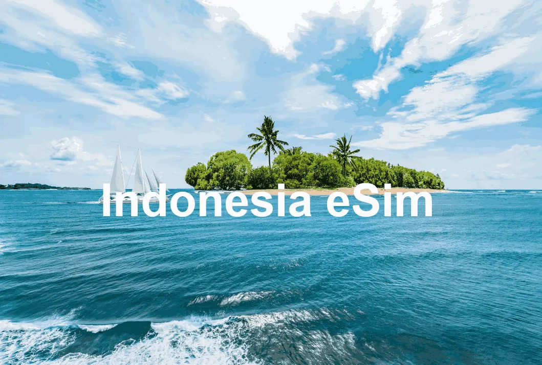 eSim Indonesia