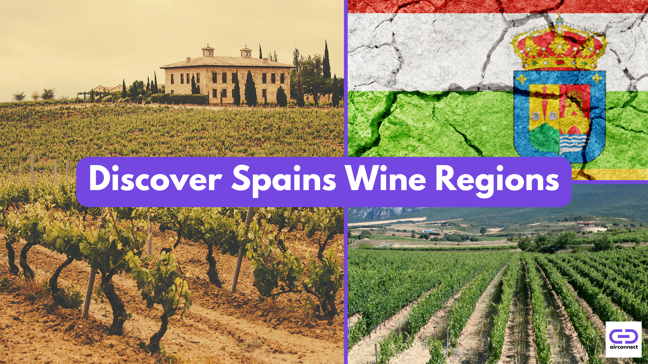 Spain Wine Routes Guide
