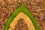 Dry and green tobacco leaf on cut tobacco background