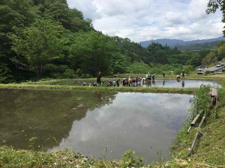 blog in haiyu 11