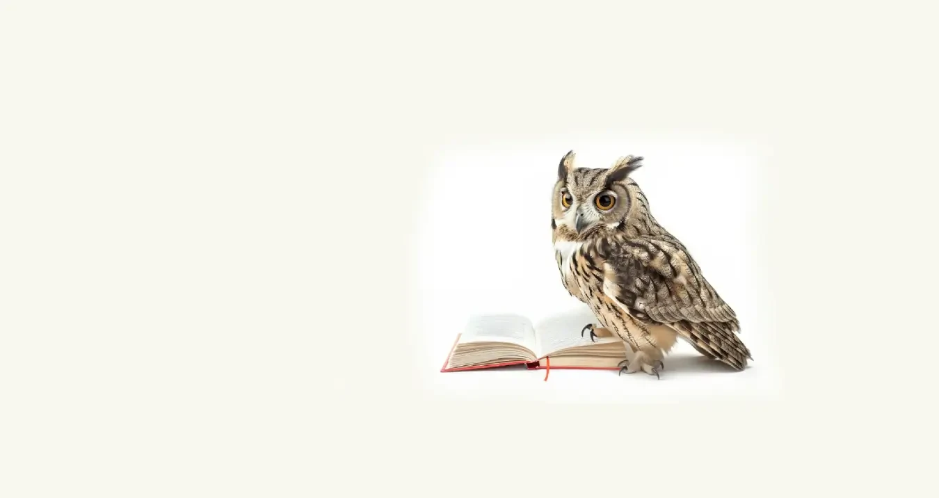 Expert + Curious