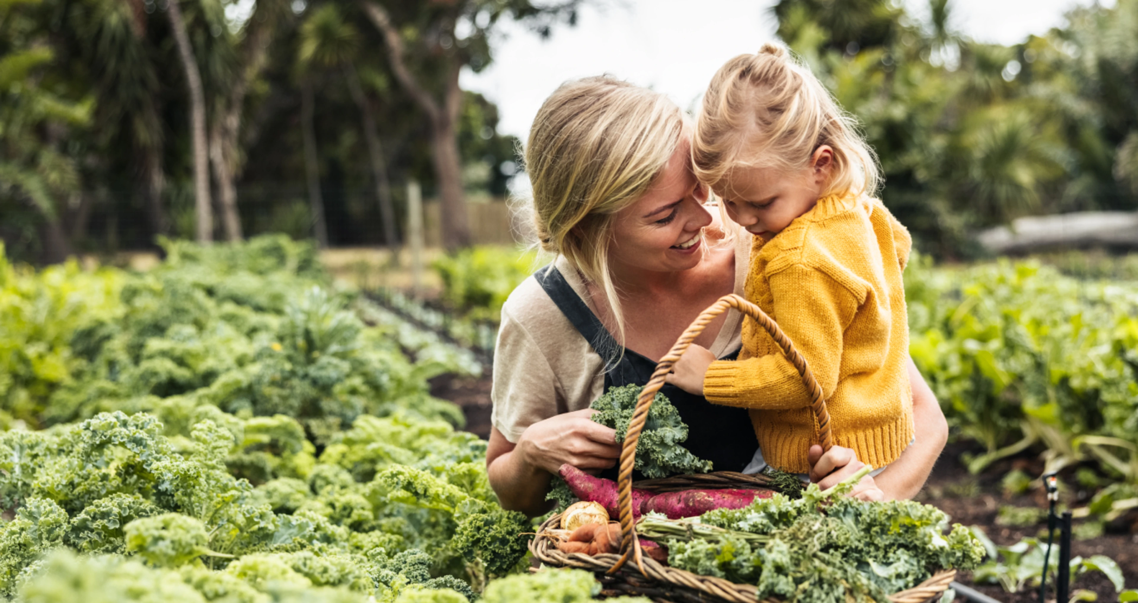 Mum and daughter picking vegetables