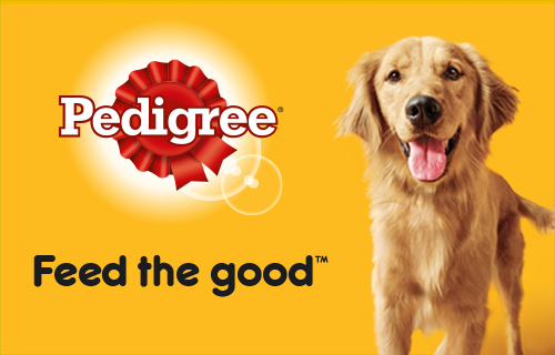 pedigree gravy bones 400g