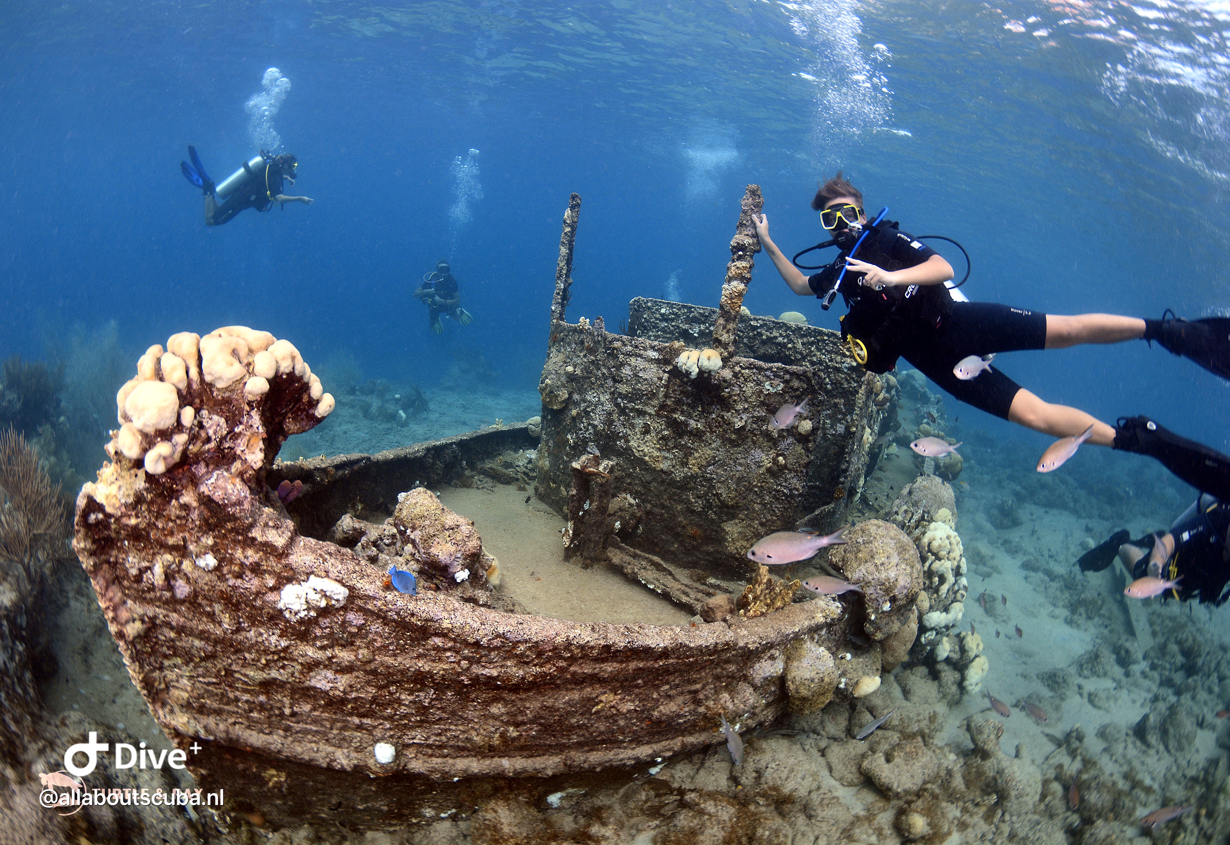 All about scuba (1)
