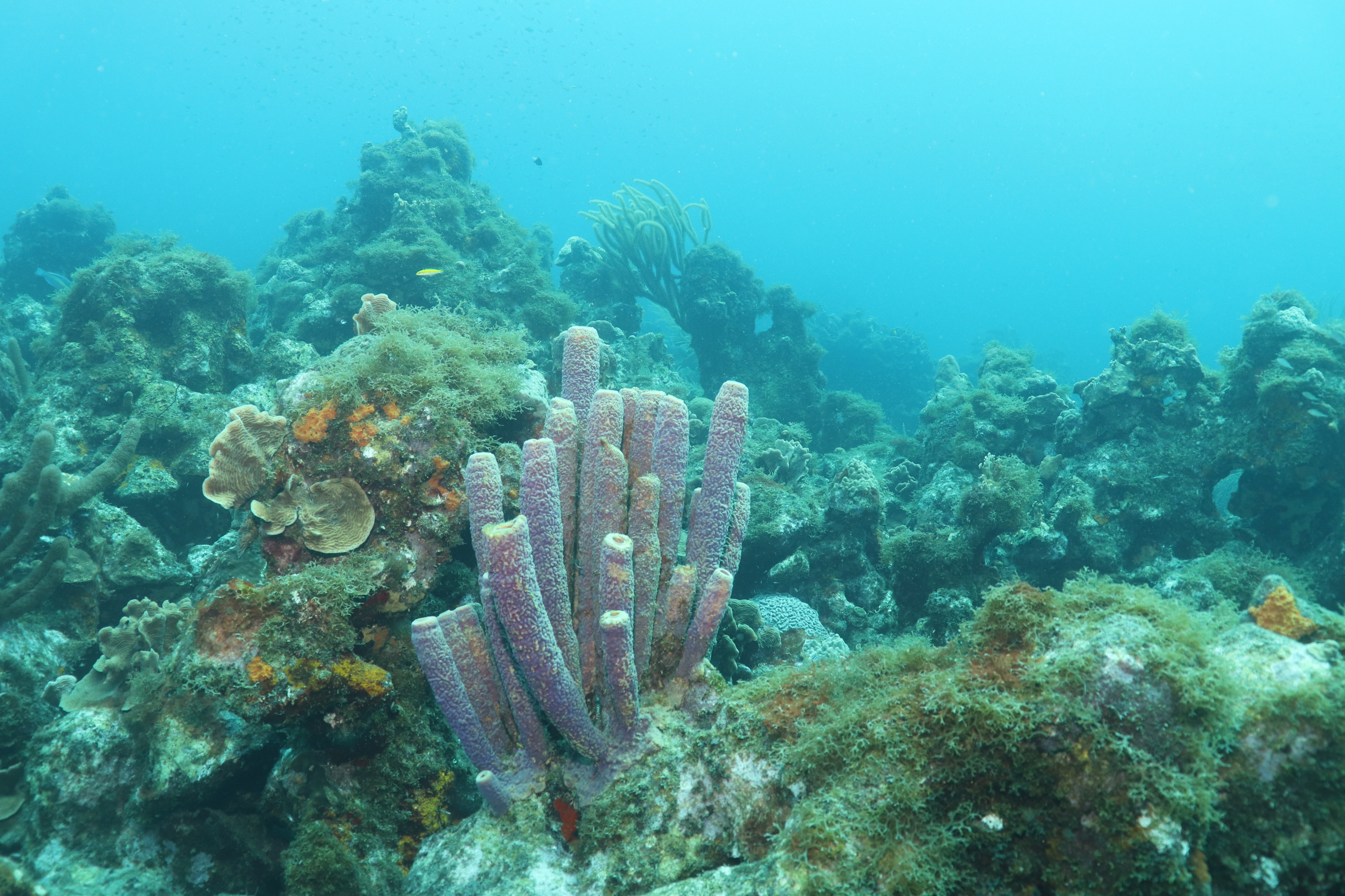 Boca Santu Pretu (2)