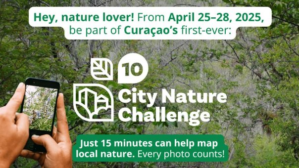 city nature challenge curacao