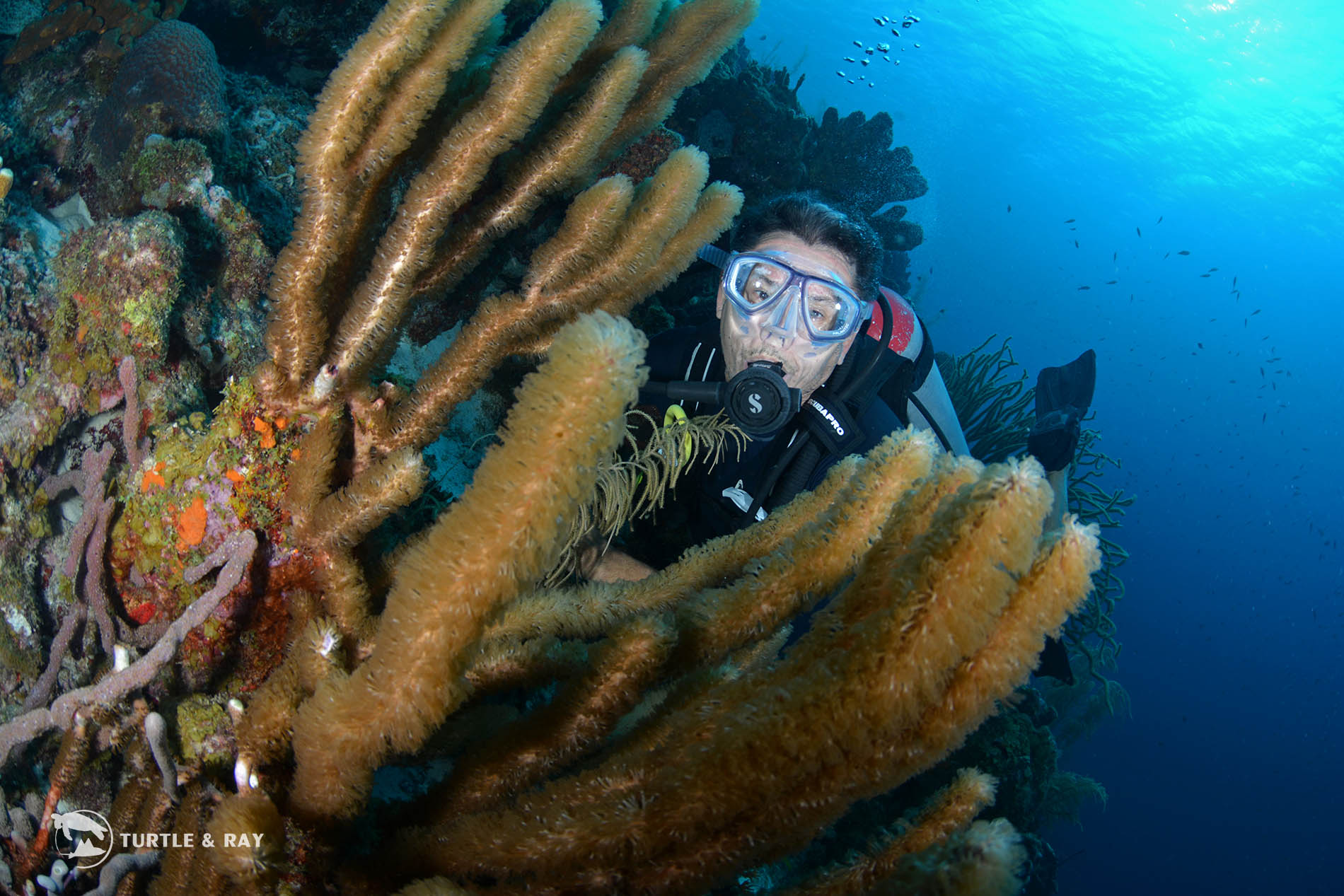 Scubaçao Diving Adventures