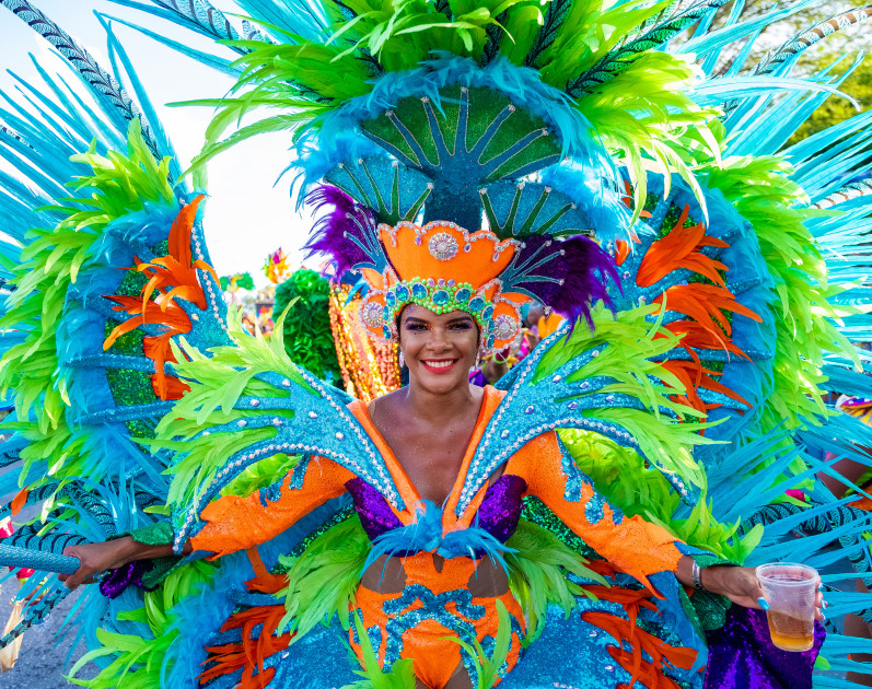 Feather Stage Wear Brazilian Samba Paradise Carnival Feather