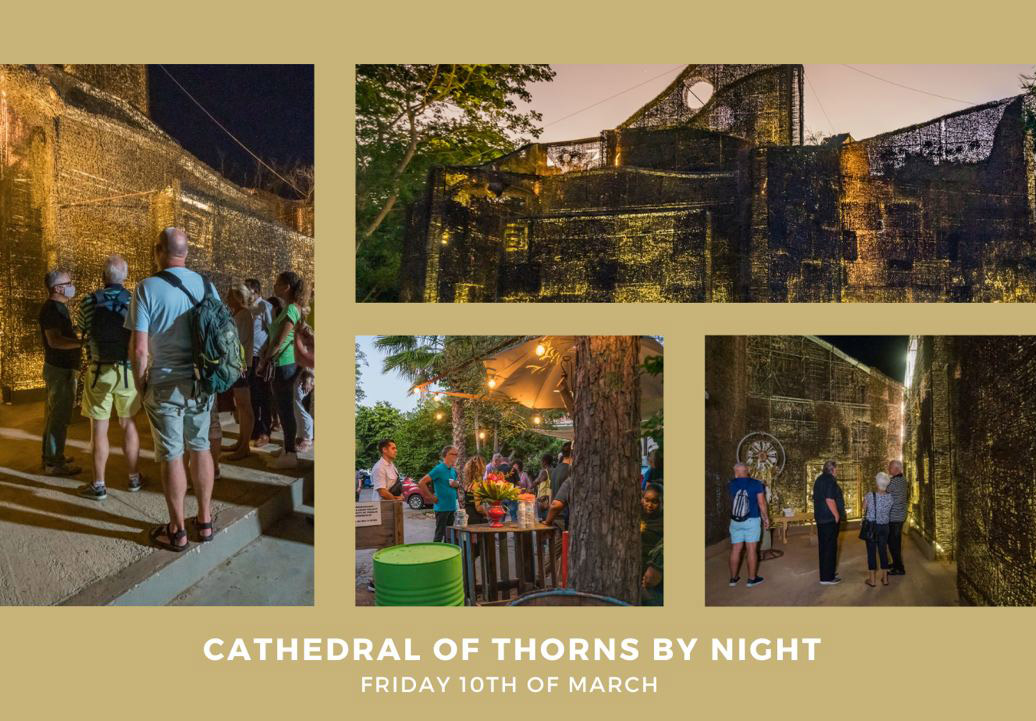 Cathedral of Thorns by Night