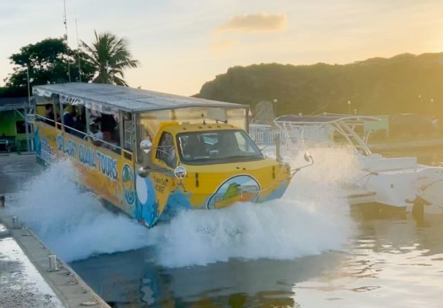 Splashy Iguana Tours